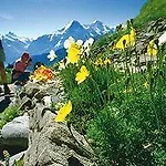 Hotel Schuetzen Lauterbrunnen