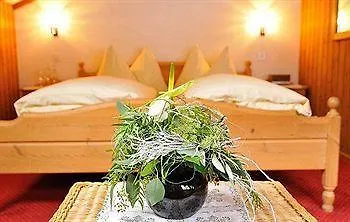Hotel Schützen 3*