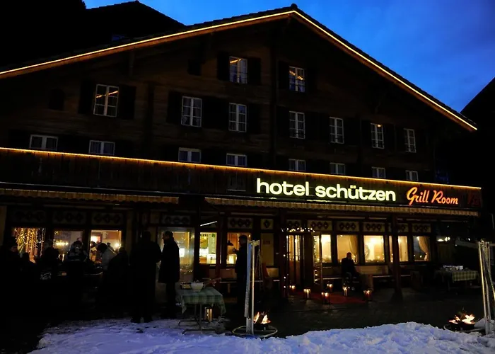 Отель Schuetzen 3*