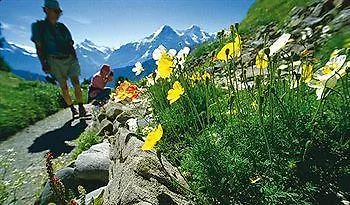 Szálloda Schuetzen Lauterbrunnen